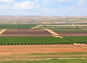 רכישת קרקע חקלאית